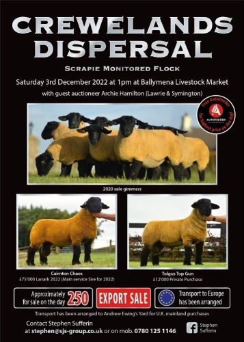 Crewelands Farm Pedigree Sheep Equipment Dispersal Sale - Registration Opens Wednesday 7th December