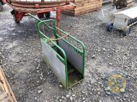 Calf dehorning crate - 4