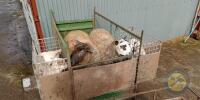 Sheep & lamb quad transporter trailer - 6