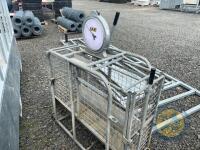 IAE lamb weighbridge
