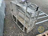 IAE lamb weighbridge - 2