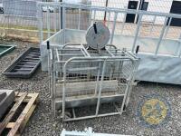 IAE lamb weighbridge - 5