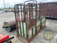 Cattle crush - 5