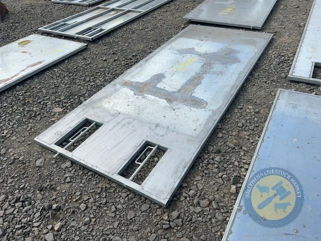 Sheeted gate 3m