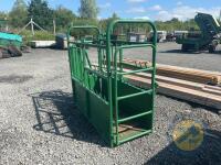 Green cattle crush