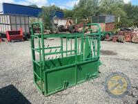Green cattle crush - 2