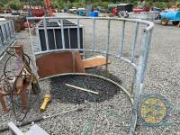 Calf ring feeder