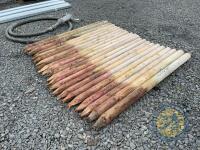 22 x 6ft round posts