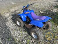 Benzai Quad 100cc - 8