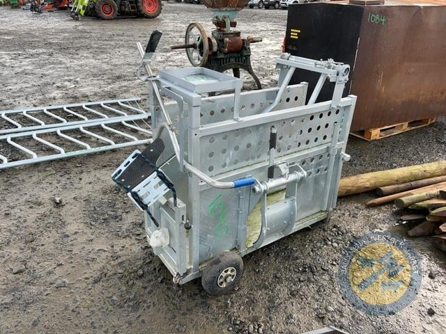 Calf dehorning Crate