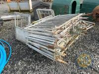 17x head gates & 19x side gates calf pens - 5