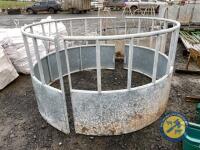 Cattle feeding ring - 3