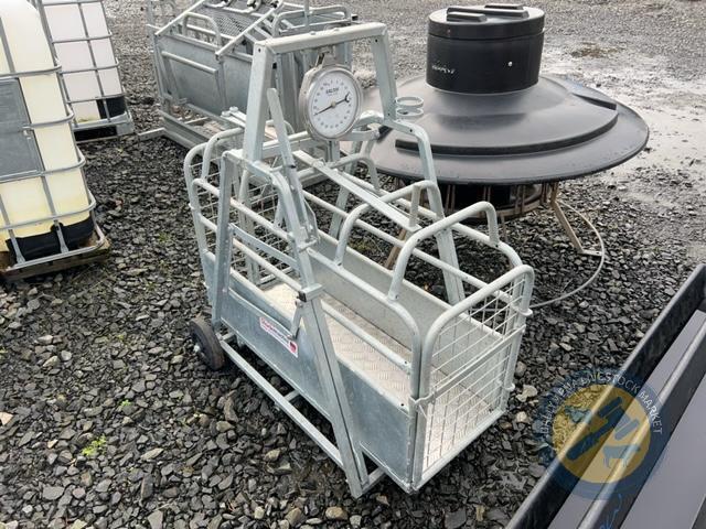 Stockmaster Sheep weighbridge