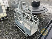 Stockmaster Sheep weighbridge