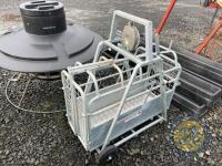 Stockmaster Sheep weighbridge - 2