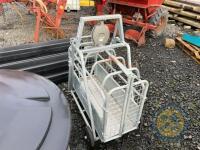 Stockmaster Sheep weighbridge - 3