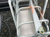 Stockmaster Sheep weighbridge - 4