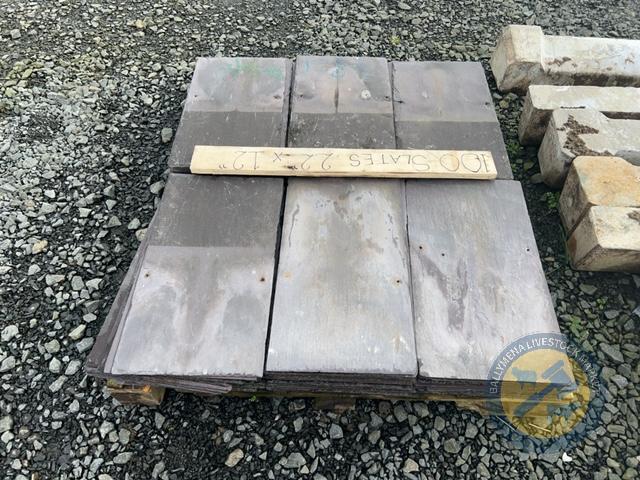 100 Bangor Blue slates