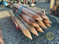 10x 8ft and over strainers and telegraph poles - 4