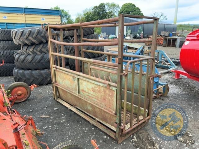 Portable cattle crush