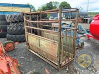 Portable cattle crush