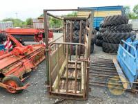 Portable cattle crush - 2
