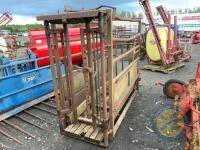 Portable cattle crush - 6
