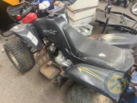 Mad CAT 110cc quad - 3