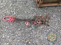 10ft 4 legged Brother chain - 2
