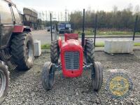 Massey 35 3 cylinder tractor - 3