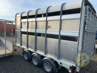 Ifor Williams triaxle cattle trailer with dividing gate no decks - 8