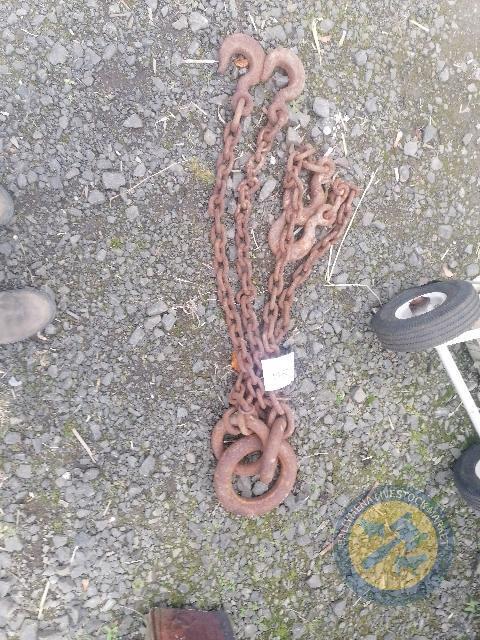 4 leg Brother chain 3ft