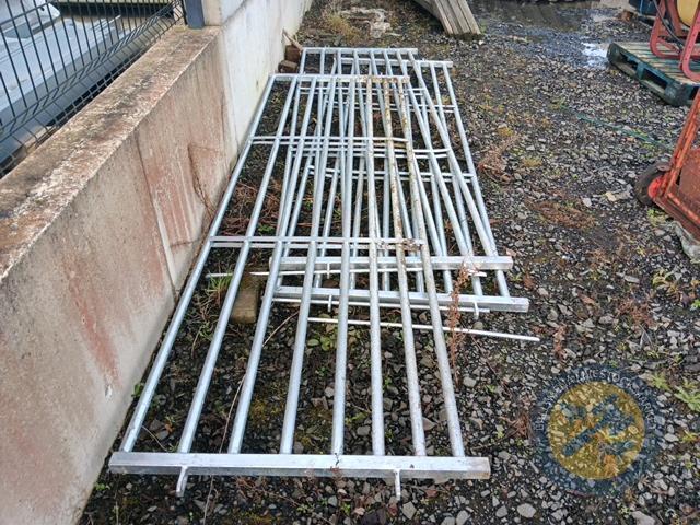 3 10ft calf gates galvanised