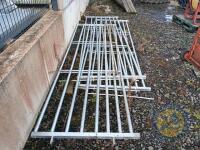 3 10ft calf gates galvanised - 2