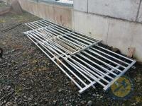 3 10ft calf gates galvanised - 5