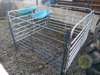 lambing pen (5ft hurdles)