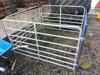 lambing pen (5ft hurdles) - 3