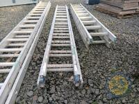 Set of double ladders