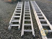 Set of double ladders - 2