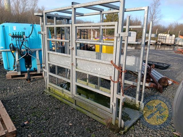 Teemore galvanised cattle crush