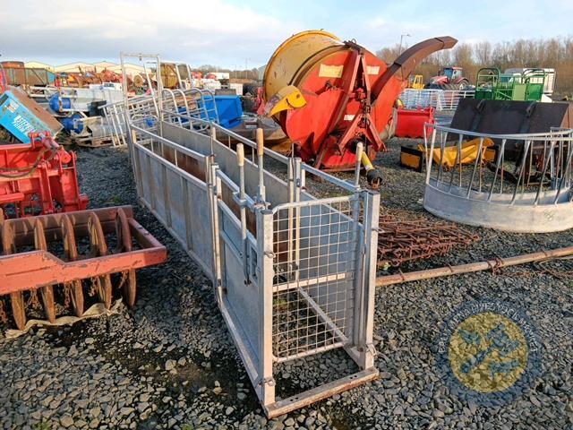 Sheep race with sheep shedding & guillotine gate