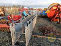 Sheep race with sheep shedding & guillotine gate - 2