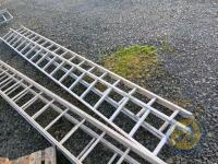 Extendable ladders 30ft