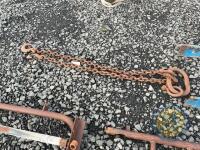 12ft lifting chains