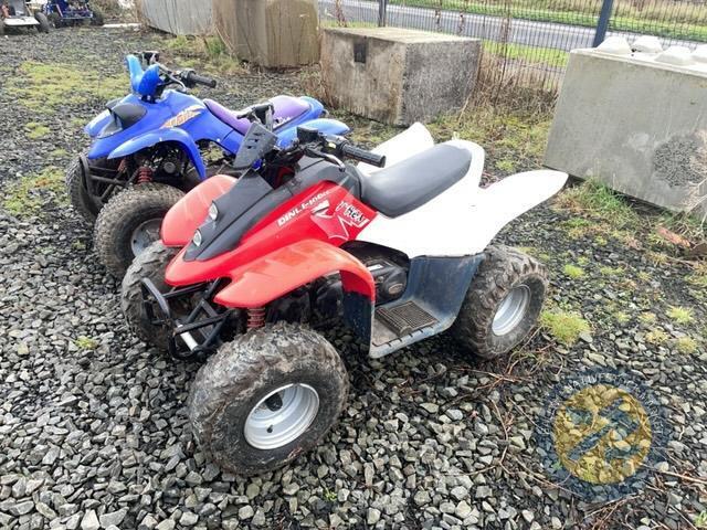 DINLI 100cc quad