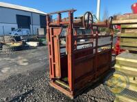 Heavy duty cattle crush - 4