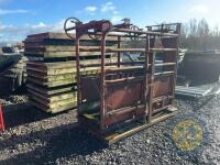 Heavy duty cattle crush - 5