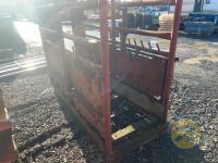 Heavy duty cattle crush - 6