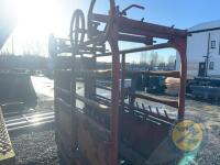 Heavy duty cattle crush - 7