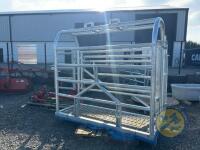 Galvanised Portable cattle crush - 2